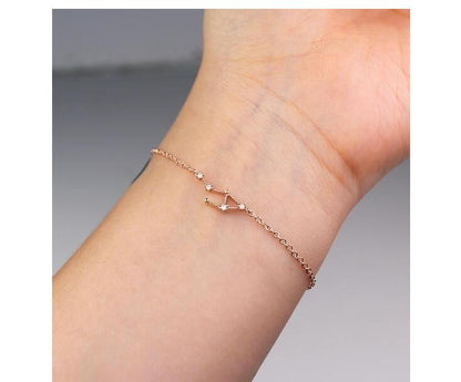 12 Constellation zodiac sign Bracelet