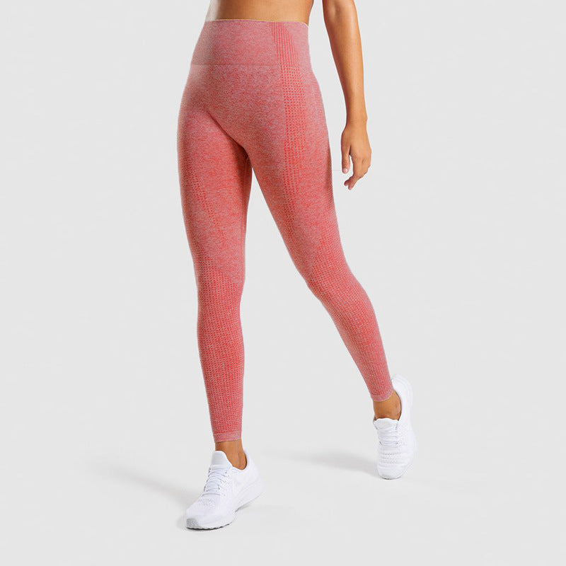 High waist fitness track pants