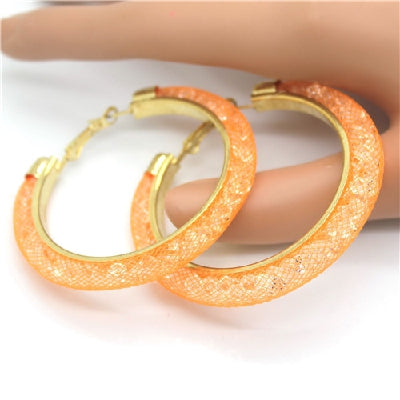 Crystal Mesh Chain Earring