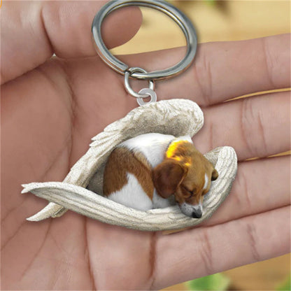 Sleeping Angel Pet Keychain