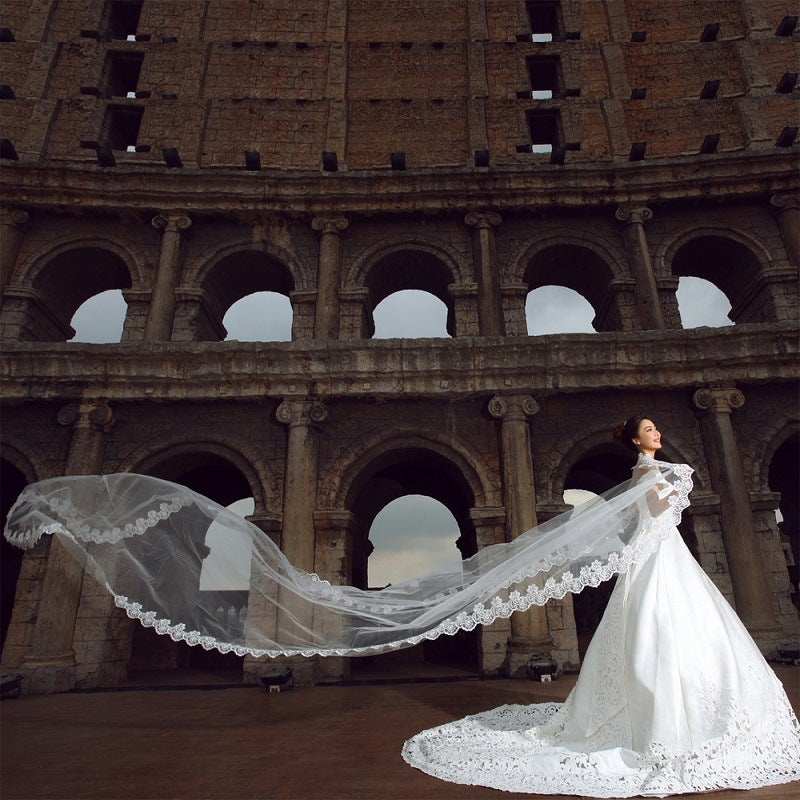 The bride wedding veil wedding headdress