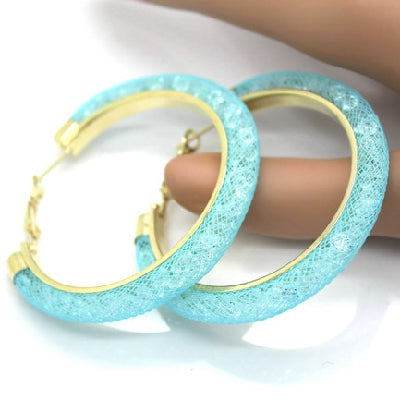 Crystal Mesh Chain Earring