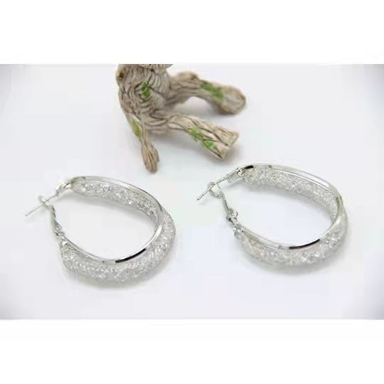 S925 Silver Needle Exaggerated Design Earrings