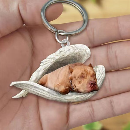 Sleeping Angel Pet Keychain